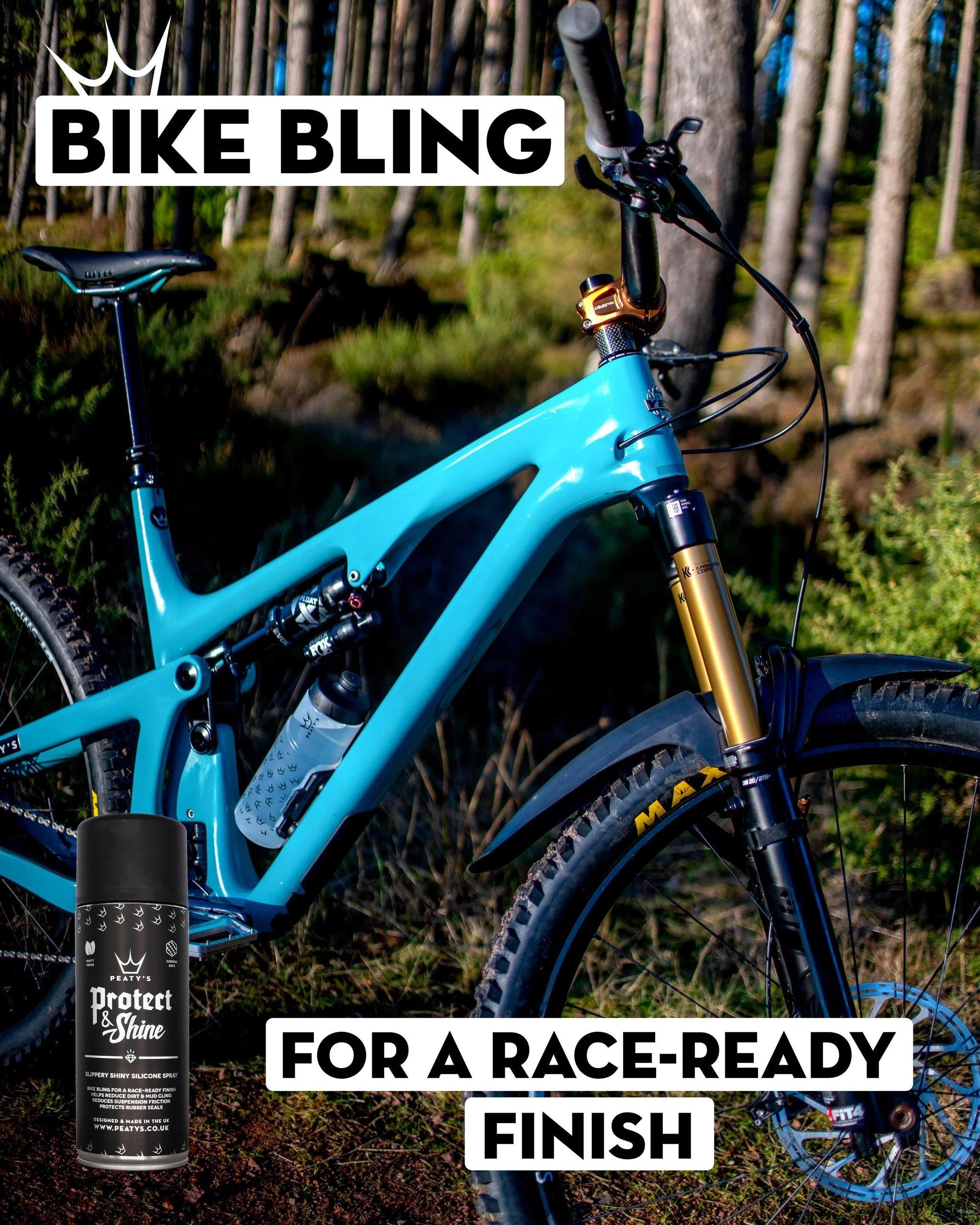 Protect & Shine Spray 400ML