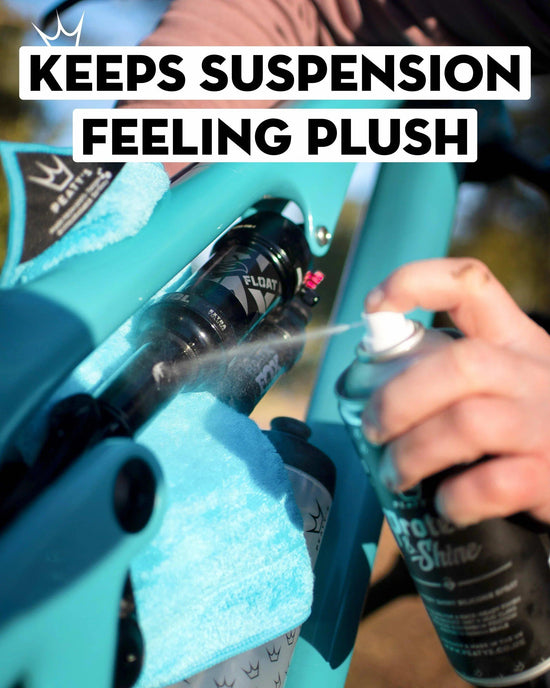 Protect & Shine Spray 400ML