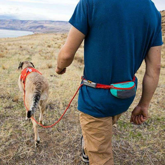 Hitch Hiker Leash - Aurora/Teal