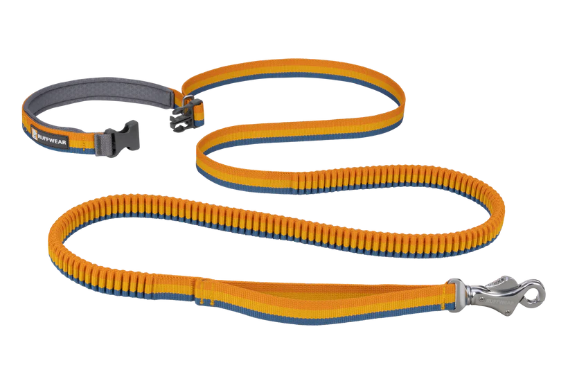 Roamer Bungee Dog Lead - Yellow
