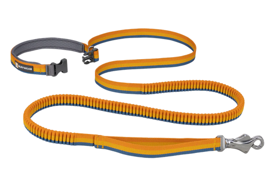 Roamer Bungee Dog Lead - Yellow