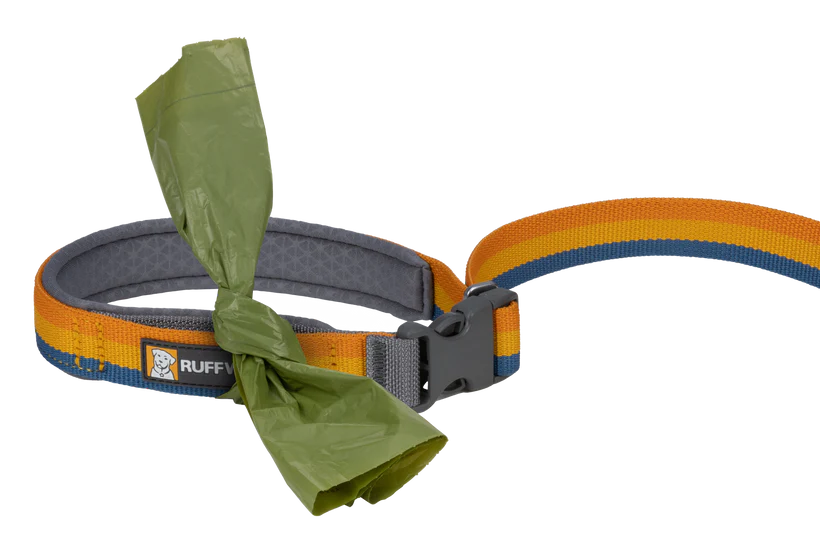 Roamer Bungee Dog Lead - Yellow