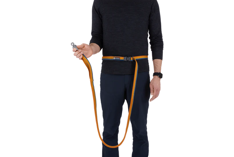 Roamer Bungee Dog Lead - Yellow