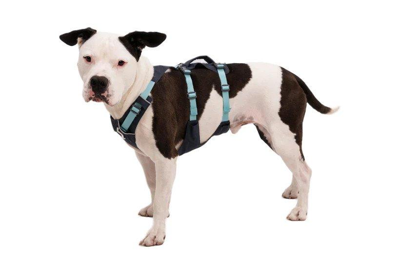 Flagline Harness - Grey