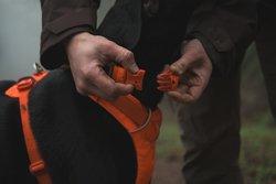 Front Range Collar - Orange