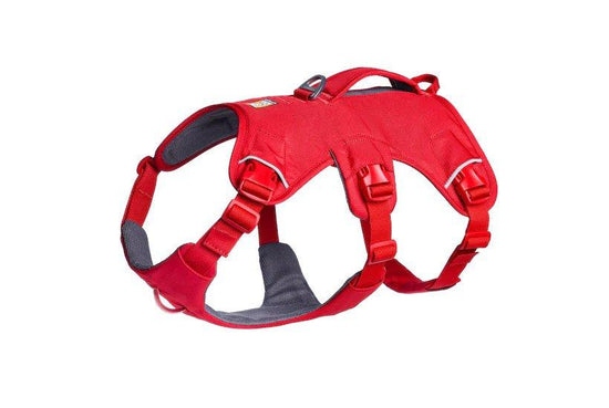 Web Master Harness - Red