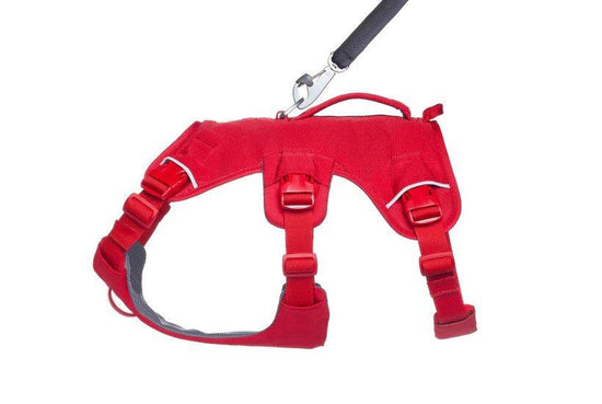 Web Master Harness - Red