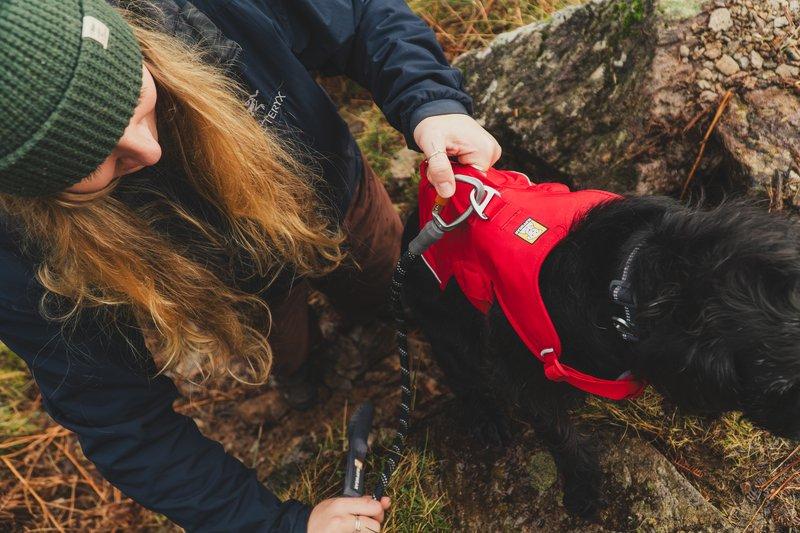 Web Master Harness - Red