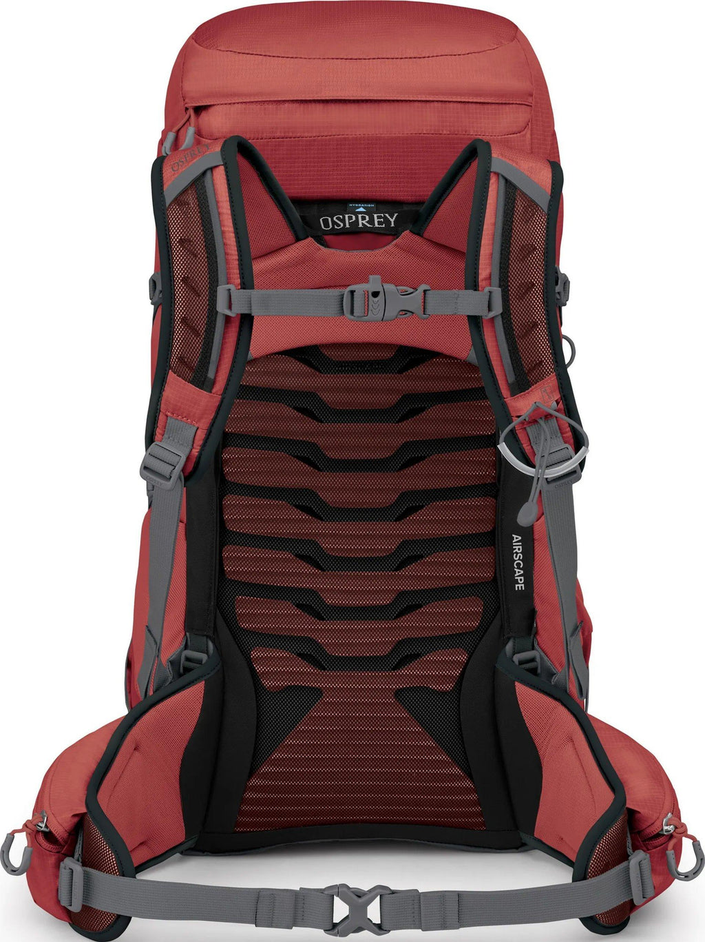 Women's Tempest 33L Rucksack - Red Pampas