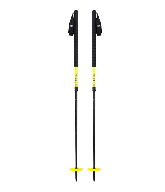 Duos Freebird Ski Poles