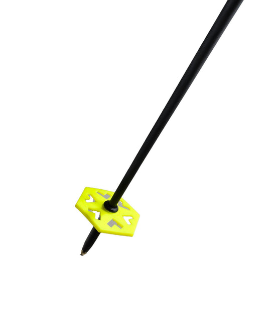 Duos Freebird Ski Poles