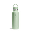 21oz Standard Mouth Water Bottle - Light Green