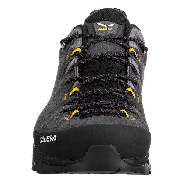 Men's Alp Trainer 2 GORE-TEX Hiking Shoe - Black