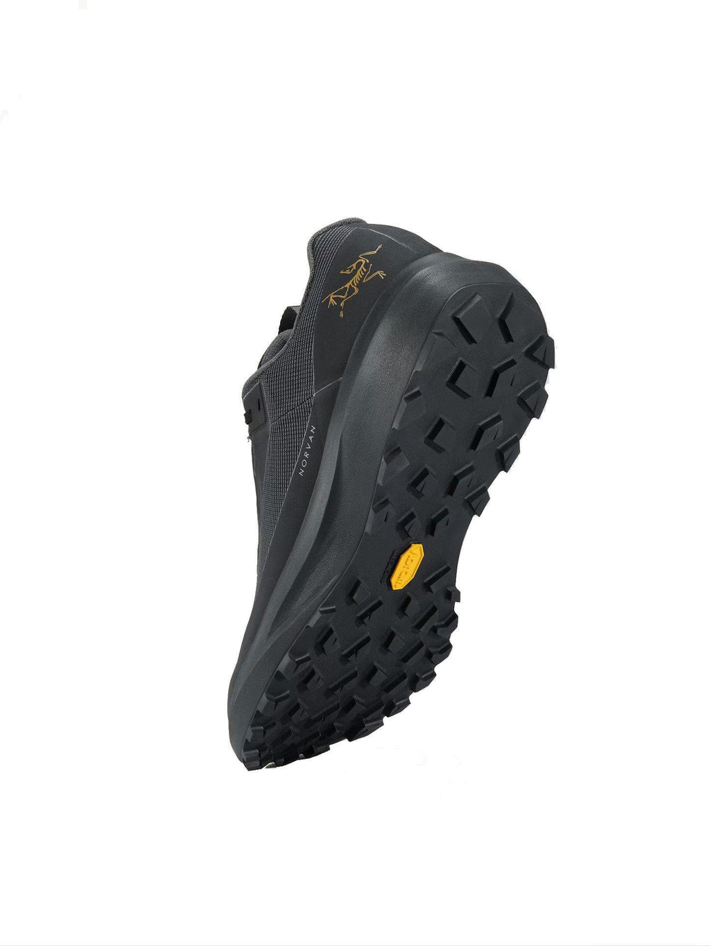 Men's Norvan Long Distance 4 GORE-TEX Trail Running Shoes - Black
