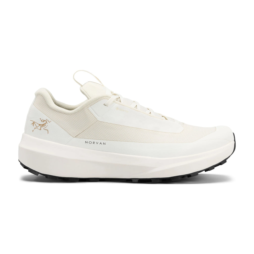 Women's Norvan Long Distance 4 GORE-TEX Trail Running Shoes - Arctic Silk