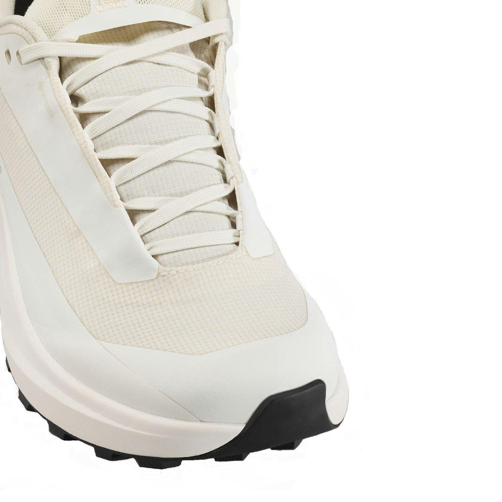 Women's Norvan Long Distance 4 GORE-TEX Trail Running Shoes - Arctic Silk