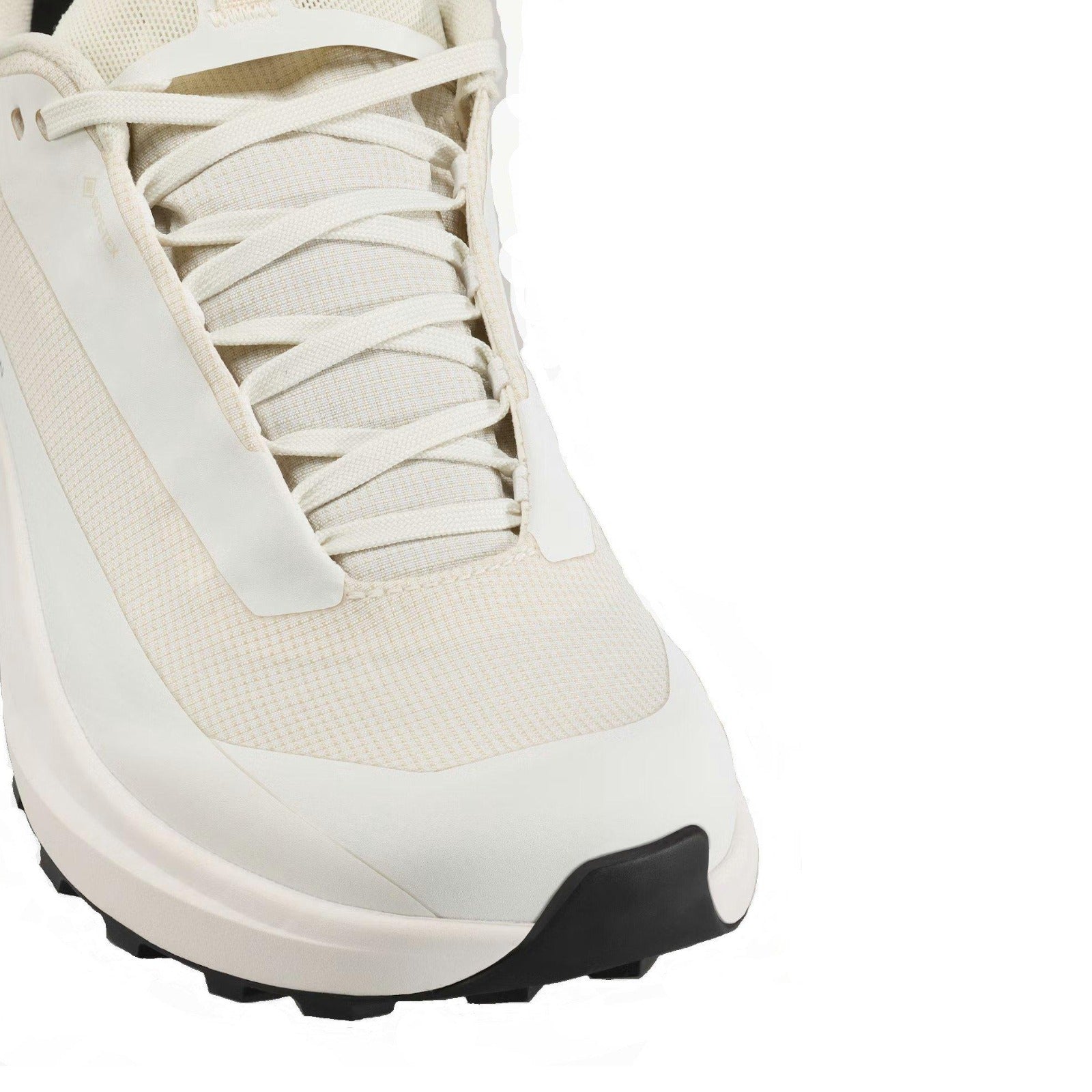 Women's Norvan Long Distance 4 GORE-TEX Trail Running Shoes - Arctic Silk