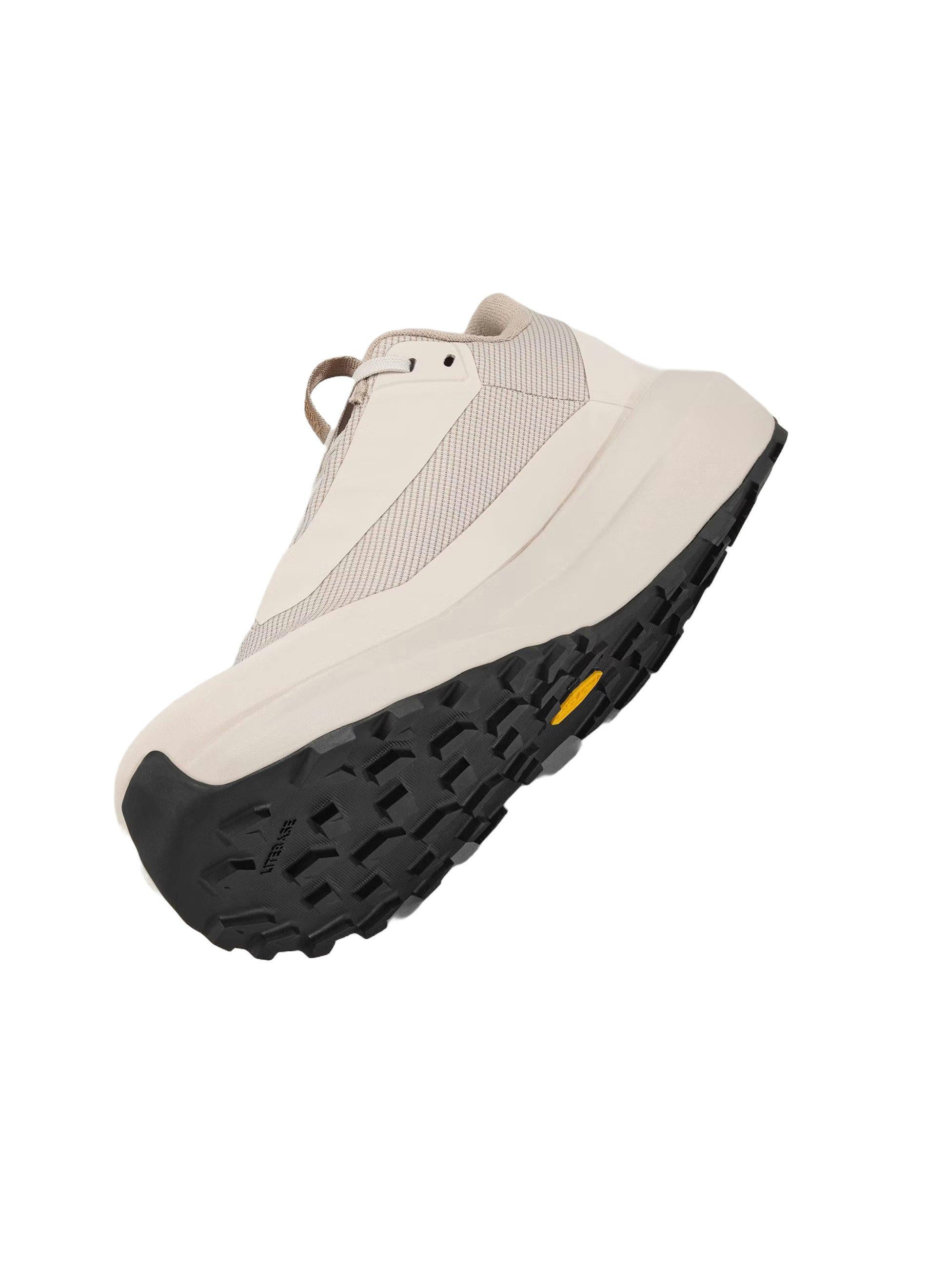 Men's Norvan Long Distance 4 GORE-TEX Trail Running Shoes - Brown