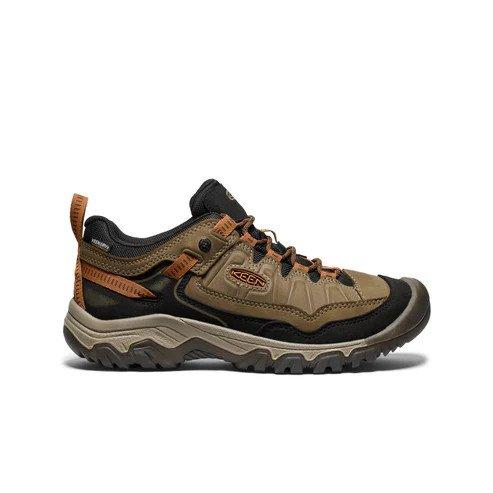 Men's Targhee IV Waterproof Hiking Shoe - Brown
