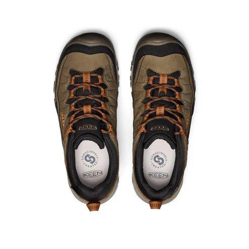 Men's Targhee IV Waterproof Hiking Shoe - Brown