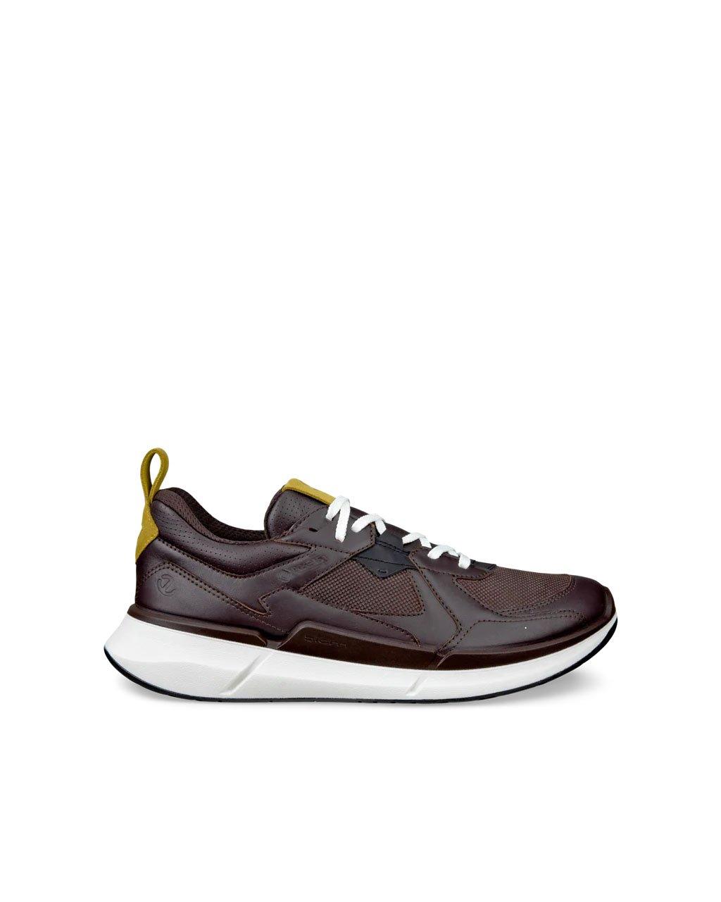 Men's Biom 2.2 GORE-TEX Shoes - Brown