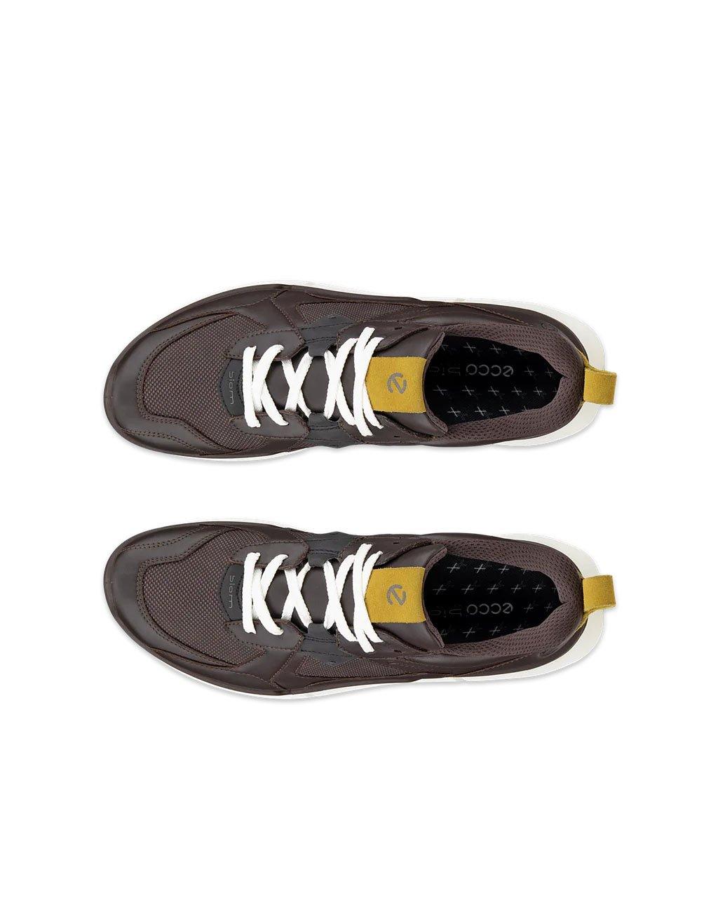 Men's Biom 2.2 GORE-TEX Shoes - Brown