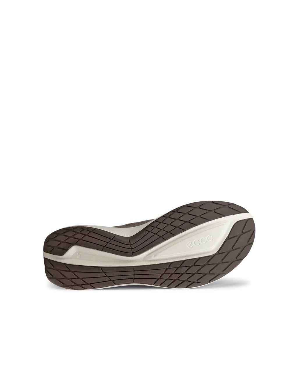 Women's Biom 2.2 GORE-TEX Shoes - Brown