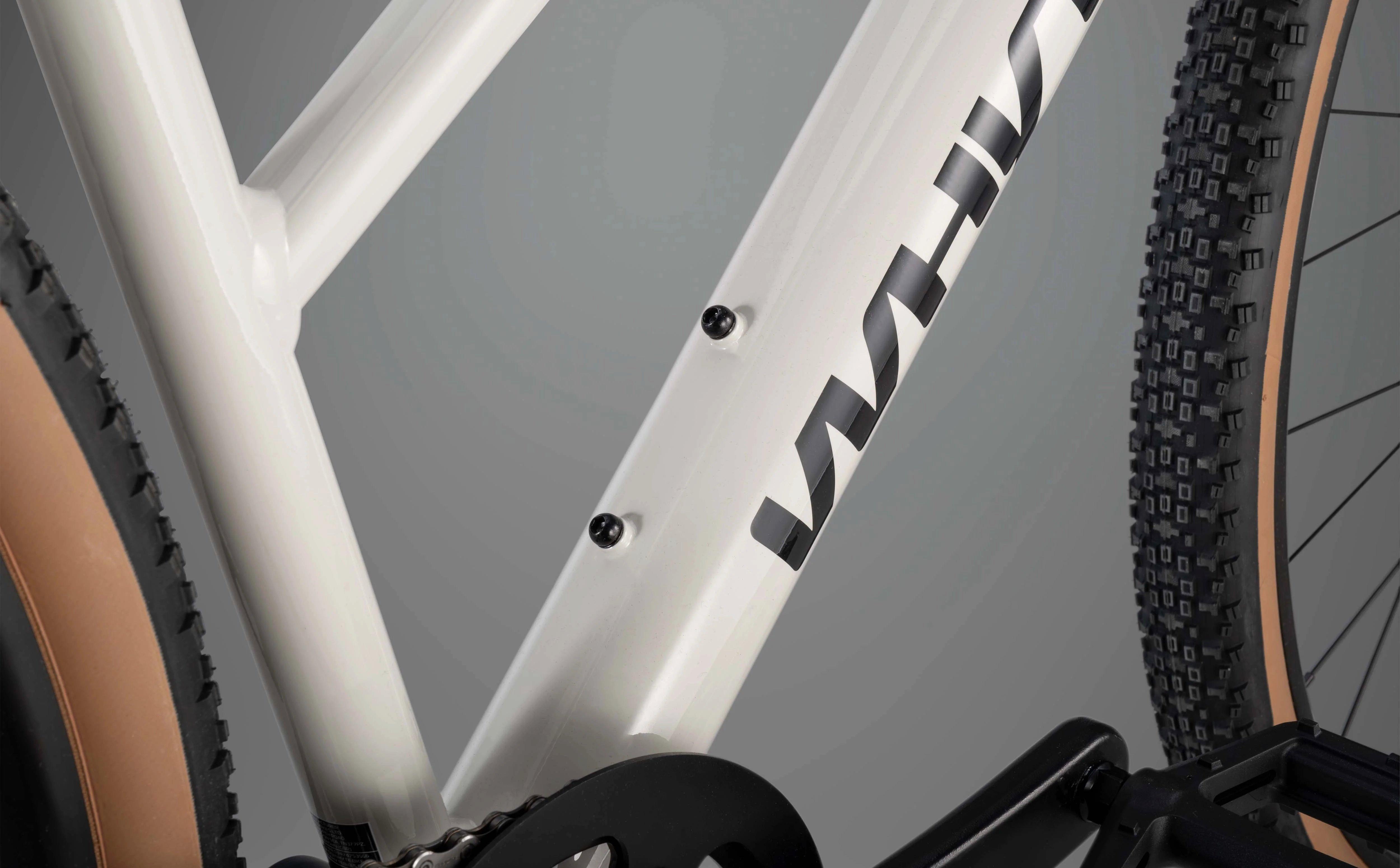 RHeO 1 ST Leisure Bike - Grey