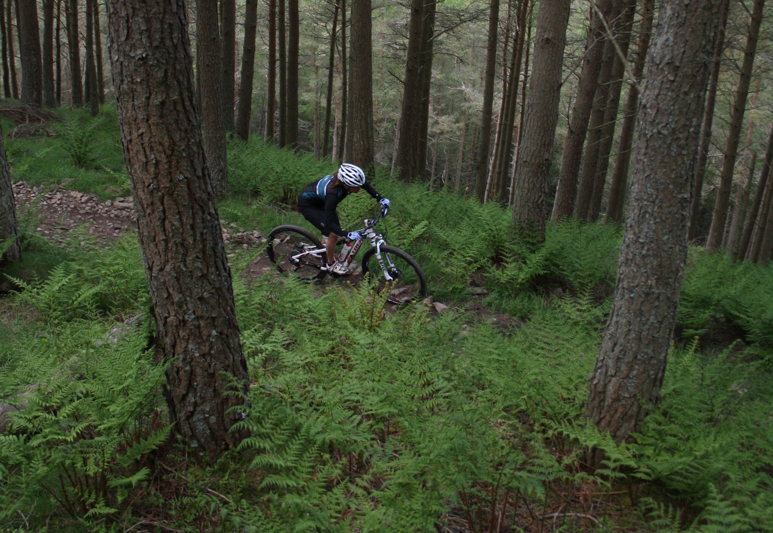 A few mountain bikers come around a bend on a dirt track cross country course